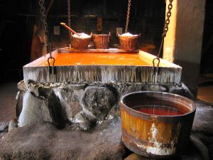 Salt production Denmark