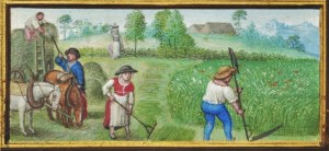 Book of Hours Harvest2