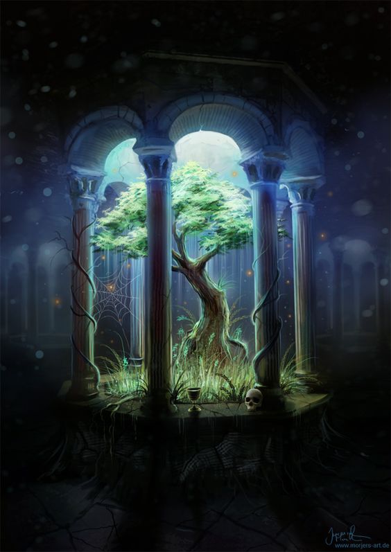 the-last-light-by-deanne-cherie