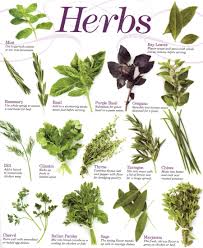 herbs-chart