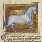 medieval-horse