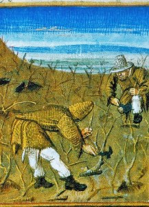 feb-labors-spreading-manure